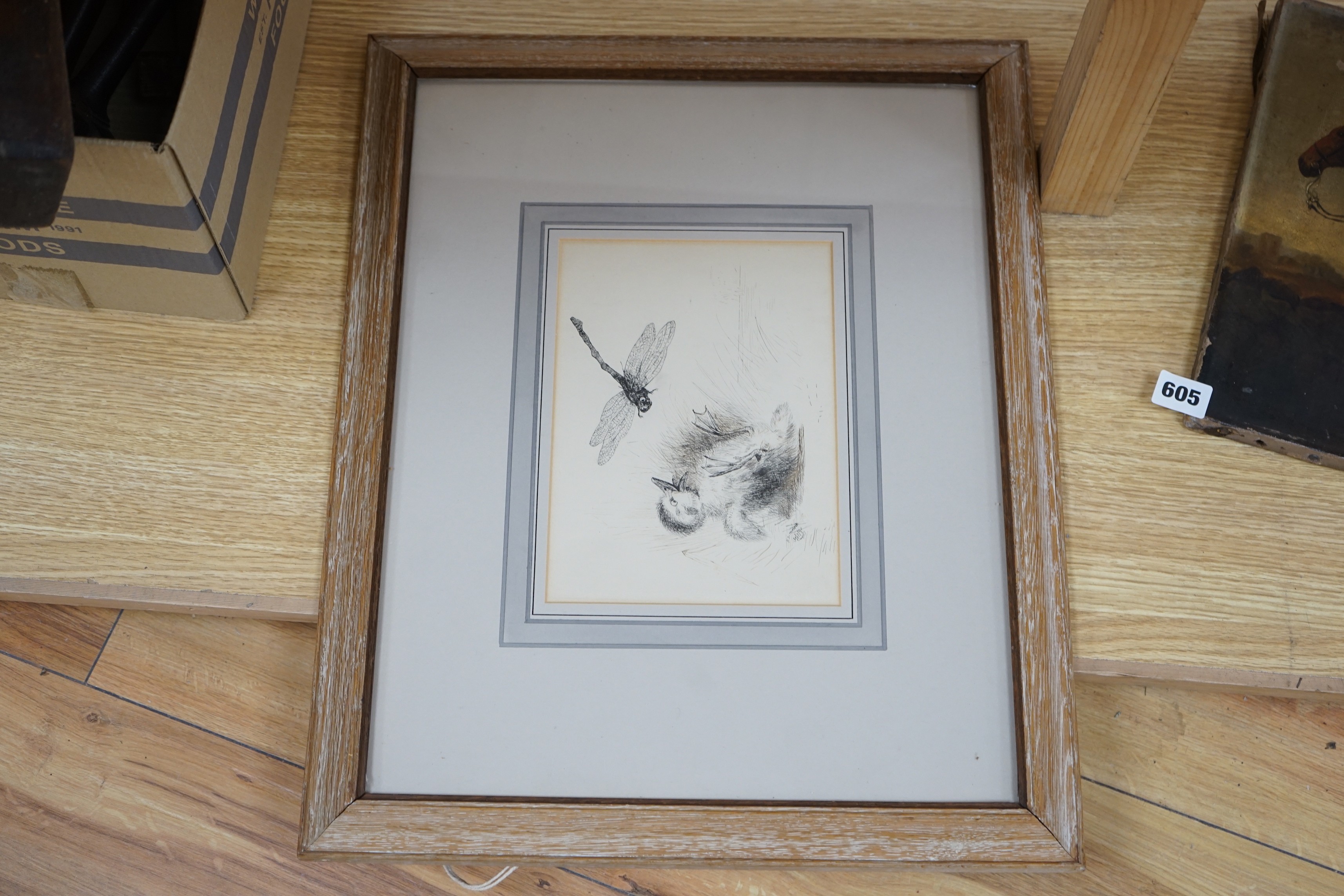 H. Dimmock, pen and ink, Duckling startled by a dragonfly, signed and dated 1990, 16 x 22cm